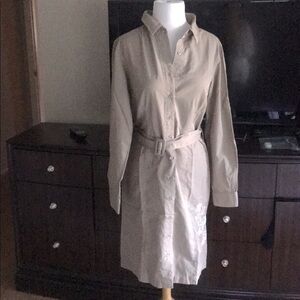 Beautiful Dress shirt